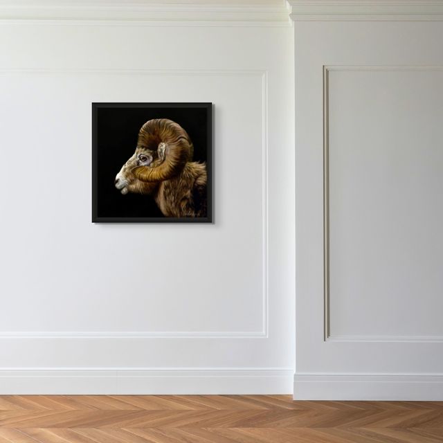 Profile of a Ram - Marcus Ashley Gallery - Marcus Ashley Gallery