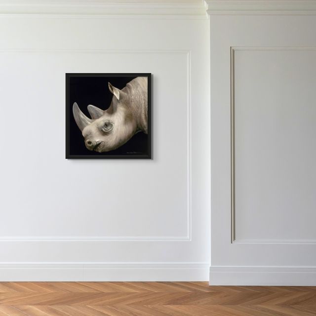 Profile of a Rhino - Marcus Ashley Gallery - Marcus Ashley Gallery
