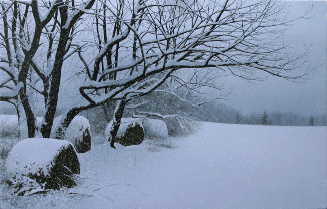 Quiet Snowfall