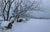 Quiet Snowfall - Marcus Ashley Gallery - Marcus Ashley Gallery