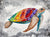 Rainbow Honu - Marcus Ashley Gallery - Marcus Ashley Gallery