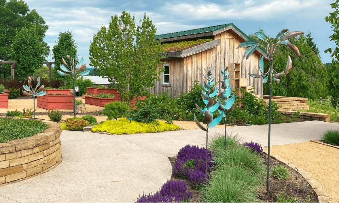 Red Ginger - Marcus Ashley Gallery - Marcus Ashley Gallery