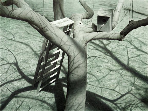 Spring Marcus Rites of Spring - Marcus Ashley Gallery