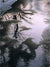 Road to Rosemont - Marcus Ashley Gallery - Marcus Ashley Gallery