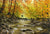 Towards the Falls - Marcus Ashley Gallery - Marcus Ashley Gallery