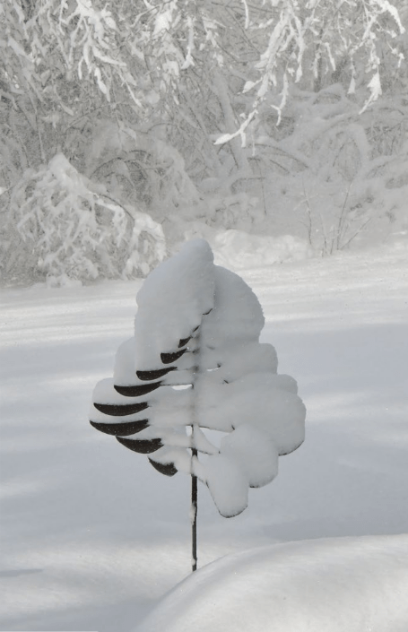 Sail - Marcus Ashley Gallery - Marcus Ashley Gallery