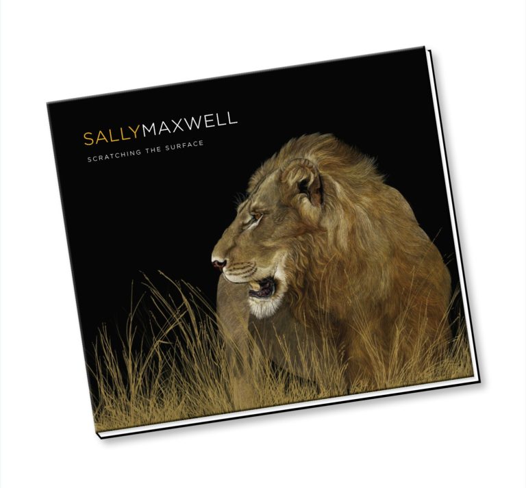 The book cover, Scratching the Surface - Sally Maxwell, showcases a breathtaking scratchboard painting of a lion in tall grass, emphasizing the legendary wildlife artists impeccable detail set against a dramatic black background.