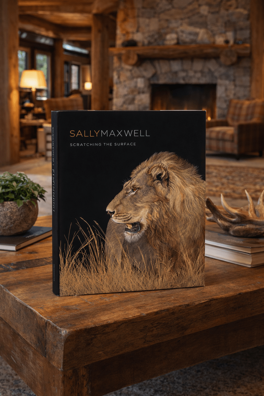 Scratching the Surface - Sally Maxwell - Marcus Ashley Gallery - Marcus Ashley Gallery