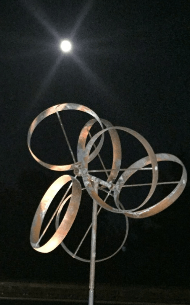 Shamrock - Marcus Ashley Gallery - Marcus Ashley Gallery