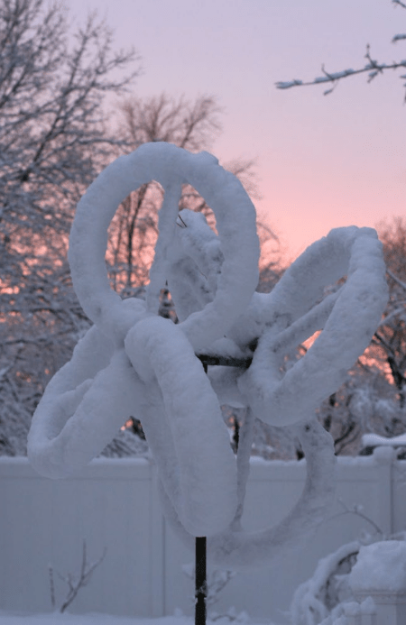 Shamrock - Marcus Ashley Gallery - Marcus Ashley Gallery