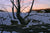 Snow Creek - Marcus Ashley Gallery - Marcus Ashley Gallery