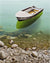 Soaring - Marcus Ashley Gallery - Marcus Ashley Gallery