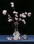 Spring Cherry Blossoms - Marcus Ashley Gallery - Marcus Ashley Gallery