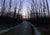 Spring Road - Marcus Ashley Gallery - Marcus Ashley Gallery