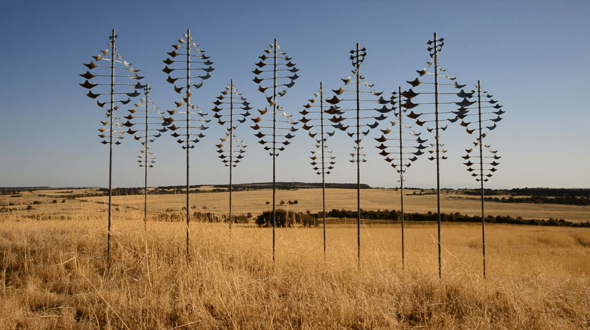 Star Dancer Horizontal - Marcus Ashley Gallery - Marcus Ashley Gallery