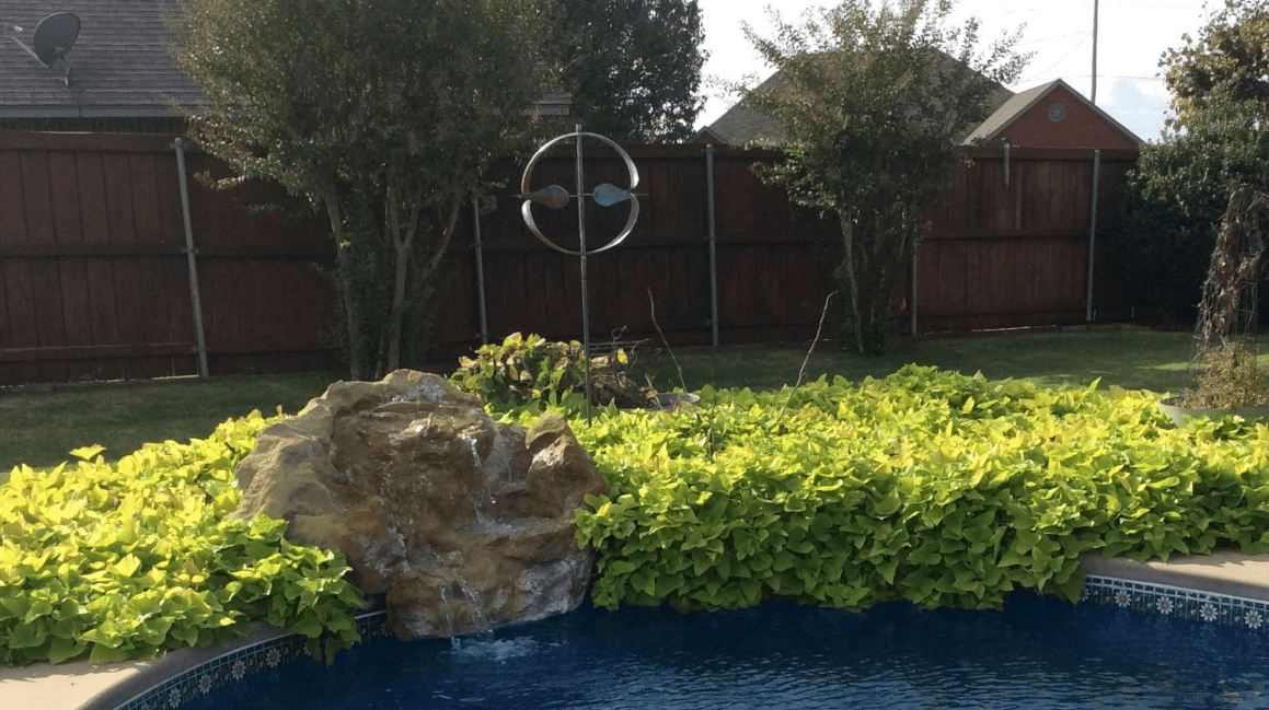 Stream - Marcus Ashley Gallery - Marcus Ashley Gallery