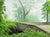 Summer Morning - Marcus Ashley Gallery - Marcus Ashley Gallery