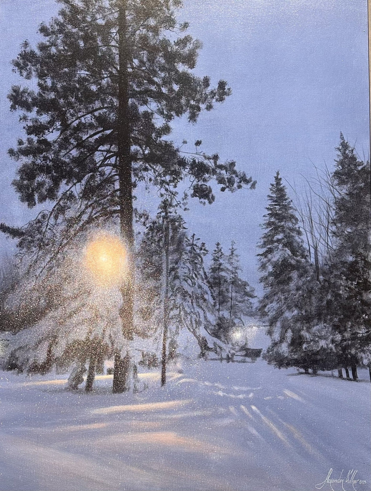 The Blizzard of 24 - Marcus Ashley Gallery