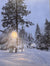 The Blizzard of 24 - Marcus Ashley Gallery