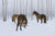 Sound of Silence - Marcus Ashley Gallery - Marcus Ashley Gallery