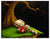 This is Nice - Marcus Ashley Gallery - Marcus Ashley Gallery
