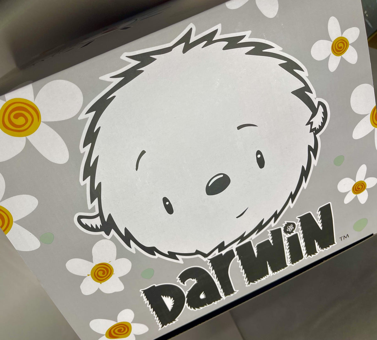 A cute, fluffy cartoon face with a small nose and simple eyes is surrounded by white daisies with orange centers. Below the face, the text Darwin Plush features a playful, jagged design reminiscent of Fabio Napoleonis art. A must-have for any collector’s box!.
