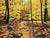 Legends of The Fall - Marcus Ashley Gallery - Marcus Ashley Gallery