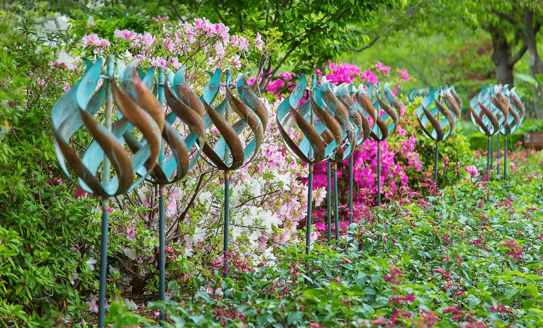 Tulip - Marcus Ashley Gallery - Marcus Ashley Gallery