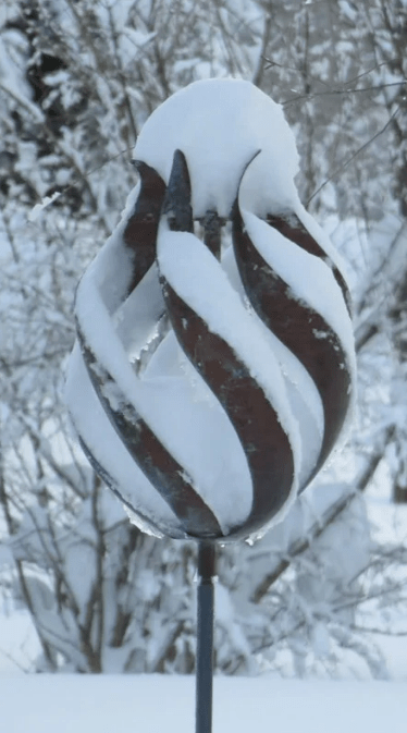 Tulip - Marcus Ashley Gallery - Marcus Ashley Gallery