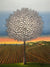 Twilight Sparkles - Marcus Ashley Gallery - Marcus Ashley Gallery