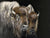 United We Stand - Marcus Ashley Gallery - Marcus Ashley Gallery