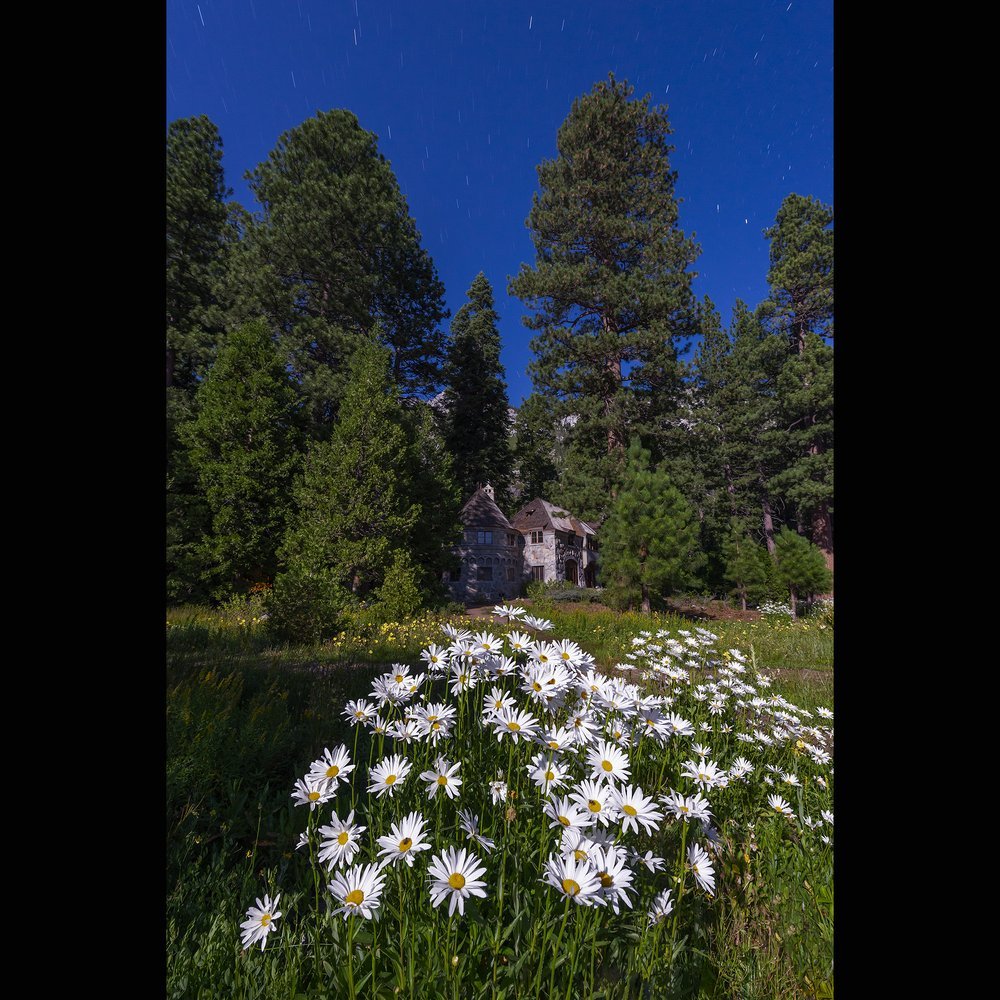Vikingsholm and Flowers Moonlit - Marcus Ashley Gallery