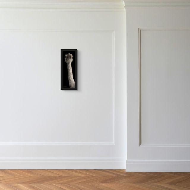 What? - Marcus Ashley Gallery - Marcus Ashley Gallery