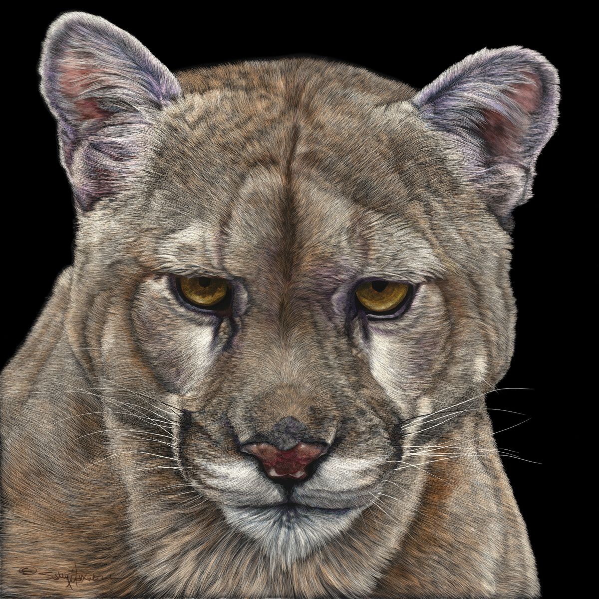 What’s New, Pussycat? - Marcus Ashley Gallery - Marcus Ashley Gallery