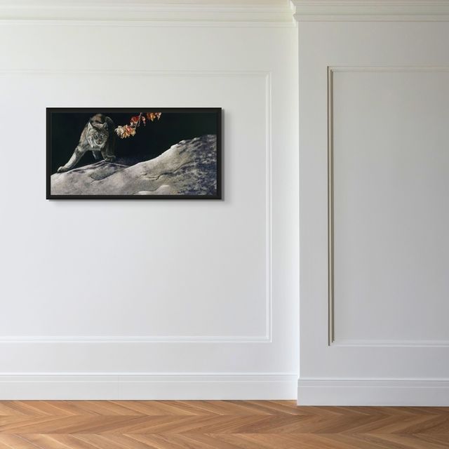 Whoa! - Marcus Ashley Gallery - Marcus Ashley Gallery