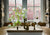 Wild Cherry Blossom - Marcus Ashley Gallery - Marcus Ashley Gallery