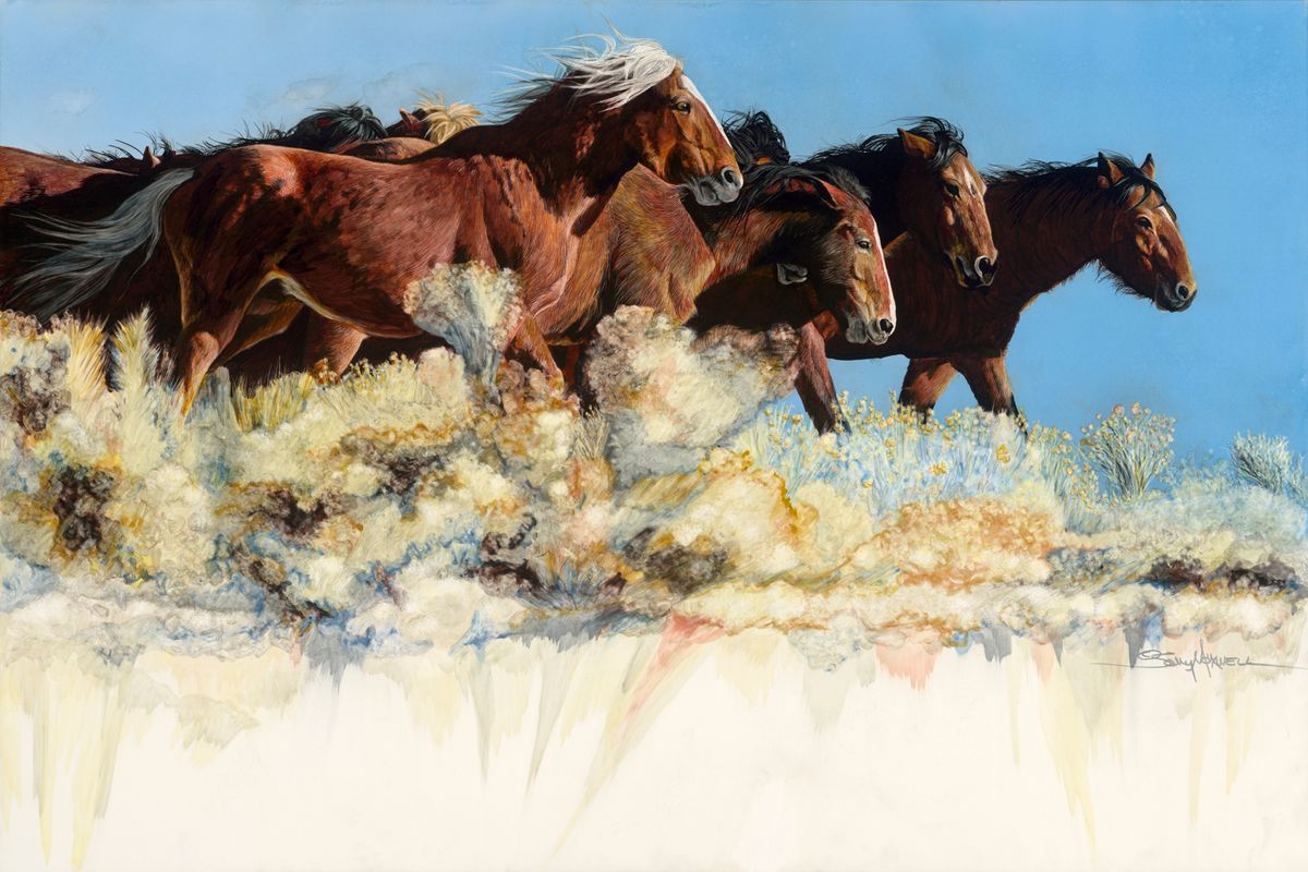 wild-horses-maxwell