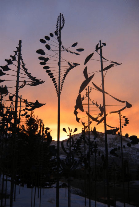Wind Dancer - Marcus Ashley Gallery - Marcus Ashley Gallery