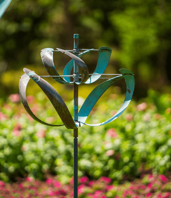 Windflower - Marcus Ashley Gallery - Marcus Ashley Gallery