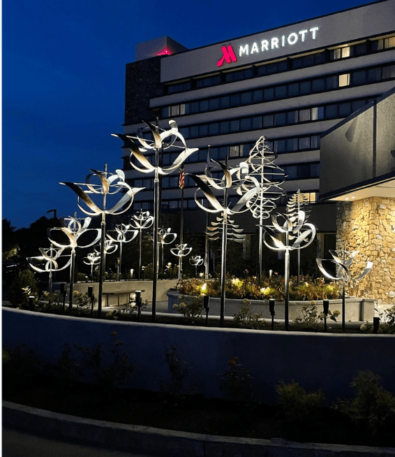 Windflower - Marcus Ashley Gallery - Marcus Ashley Gallery