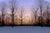 Winter Evening - Marcus Ashley Gallery - Marcus Ashley Gallery